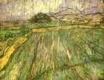 Пшеничное поле в дождь